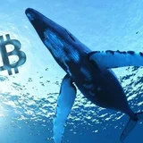 Whales Crypto Guide logo