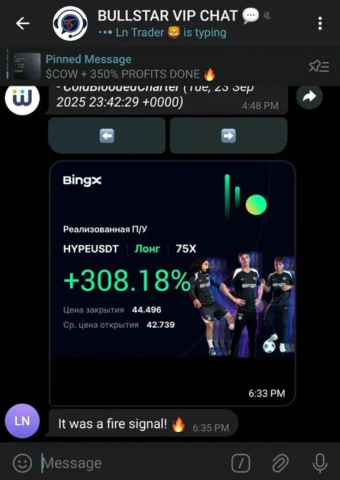 Bullstar VIP chat result: HYPEUSDT, +308.18% ROI